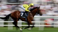 McDonald booked for Meydaan Melbourne Cup ride