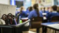 Poorer pupils ‘may not be benefiting’ from funding given to schools to aid them