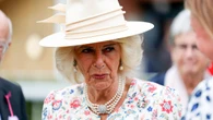 Camilla told Boris Johnson she was victim of attempted sexual assault – new book