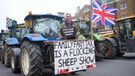 Farmers ‘in it for the money’, says Steve Reed