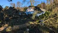 National Trust seeks help after losing more than 10,000 trees in Storm Eowyn