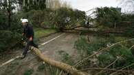 Homes without power after Storm Darragh ‘to be reconnected by Wednesday’