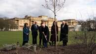 King plants tree near Palace lake to celebrate Commonwealth forest network