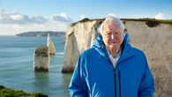 ‘If we save the sea, we save our world’ – Attenborough urges ocean protection