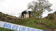 Sycamore Gap was totemic, trial of two men accused of chopping down tree is told