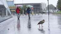 Weather warnings as strong winds and heavy rain on way days after flooding