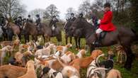 Government’s pledge to ban trail hunting in spotlight as Boxing Day hunts meet