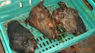 Two men jailed for conspiring to sell meat meant for pet food to shoppers