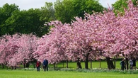 Temperatures could reach up to 10C above average in England and Wales next week