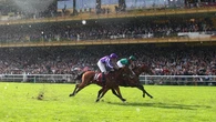 Daryz ‘really well’ after Arc heroics, but no decision yet on future plans