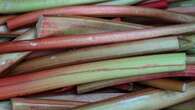 Supermarket reports surging demand for ‘flavour of the moment’ rhubarb