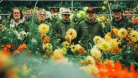 Welsh rock band Super Furry Animals to reform for tour next year