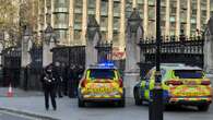 Man faces offensive weapons charges after incident outside Parliament