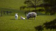 Government urged to do right thing and reverse ‘family farm tax’