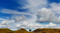 ‘Totemic’ Sycamore Gap tree inspired countless photos until it was felled