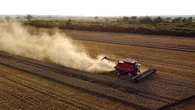 UK harvest on course for near record low after drought hits crops – analysis