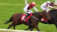 Copper Knight ‘in grand form’ ahead of his own race