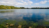 Fire chiefs call for urgent action on drownings