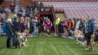 Guide Dogs puppies form guard of honour at Premiership Women’s Rugby match