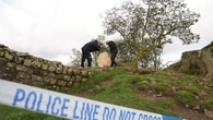 Sycamore Gap chainsaw and wedge of trunk ‘taken as trophy’ not found by police