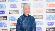 Jane Goodall interview marks release of new Netflix series Famous Last Words