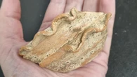 Incense bowl and helmet handle among finds at National Trust estate dig