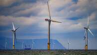 Wind farm giant Orsted’s chief executive quits