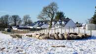 Mercury falls to minus 18C in Scottish hamlet as cold spell continues