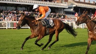 Prix Royal-Oak the next stop for Caballo De Mar