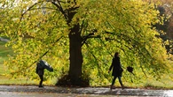 November expected to be warmer than usual but showers set to continue