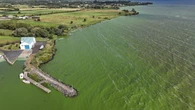 Recovery of Lough Neagh ‘will take years, if not decades’, says Muir