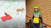 Cyclist creates Christmas-themed routes for as part of festive ride challenge