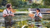 Natural History Museum turns on sensors in high-tech gardens to monitor nature