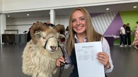 Shear delight for teenager who took sheep to collect GCSE results