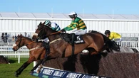 Ground conditions put paid to Jagwar’s Cheltenham bid