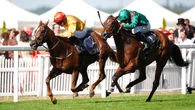 Cercene to return next year as Breeders’ Cup bid ruled out