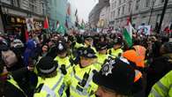 Ten people charged with public order offences after London pro-Palestine protest