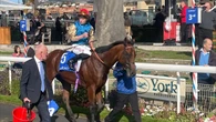Division in class shows in victory at York