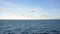 Cutting global emissions ‘only way’ to safeguard seafood, scientists warn