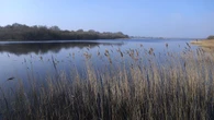 Tory green group urges Badenoch to prioritise nature recovery