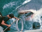 Did Jaws actually ruin the reputation of real sharks?