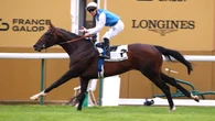 Sosie and Cualificar mean Arc lights could shine again on Fabre