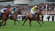 No rush to decide next move for shock Ascot winner Powerful Glory