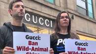 Animal rights activists stage protest as Gucci store opens in Edinburgh