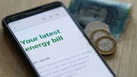 MPs criticise Ofgem’s ‘completely inadquate’ response to energy debt crisis