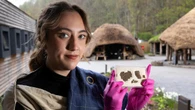 Fragments of Iron Age textile found in loch go on show for first time
