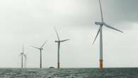 Rules to curb harmful underwater noise in offshore wind construction unveiled