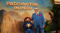 Canal+ flags smaller line-up of films in 2025 but hails Paddington hit