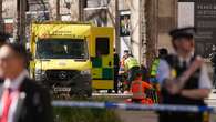 Screams heard after van crash in central London which left one woman dead