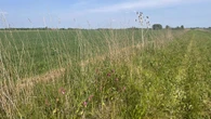 Around 3,000 farmers can apply for closed nature farming scheme after ‘error’